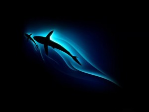 Shark-Movement-Black-Wallpaper-1